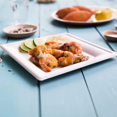 Piatti in Canna da Zucchero