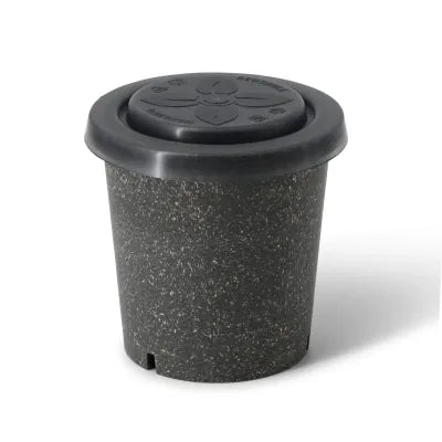 Bicchieri riutilizzabili ingrosso forniture asporto domicilio monouso