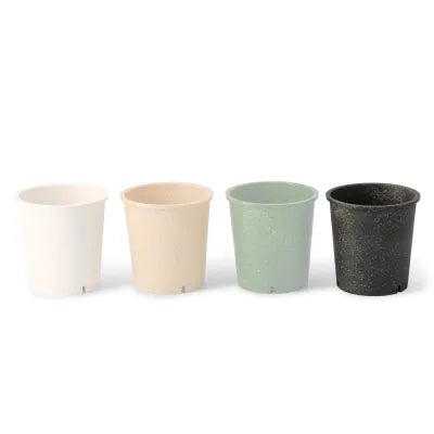 Bicchieri riutilizzabili ingrosso forniture asporto domicilio monouso ristoranti pizzerie fornitore biodegradabili pescherie