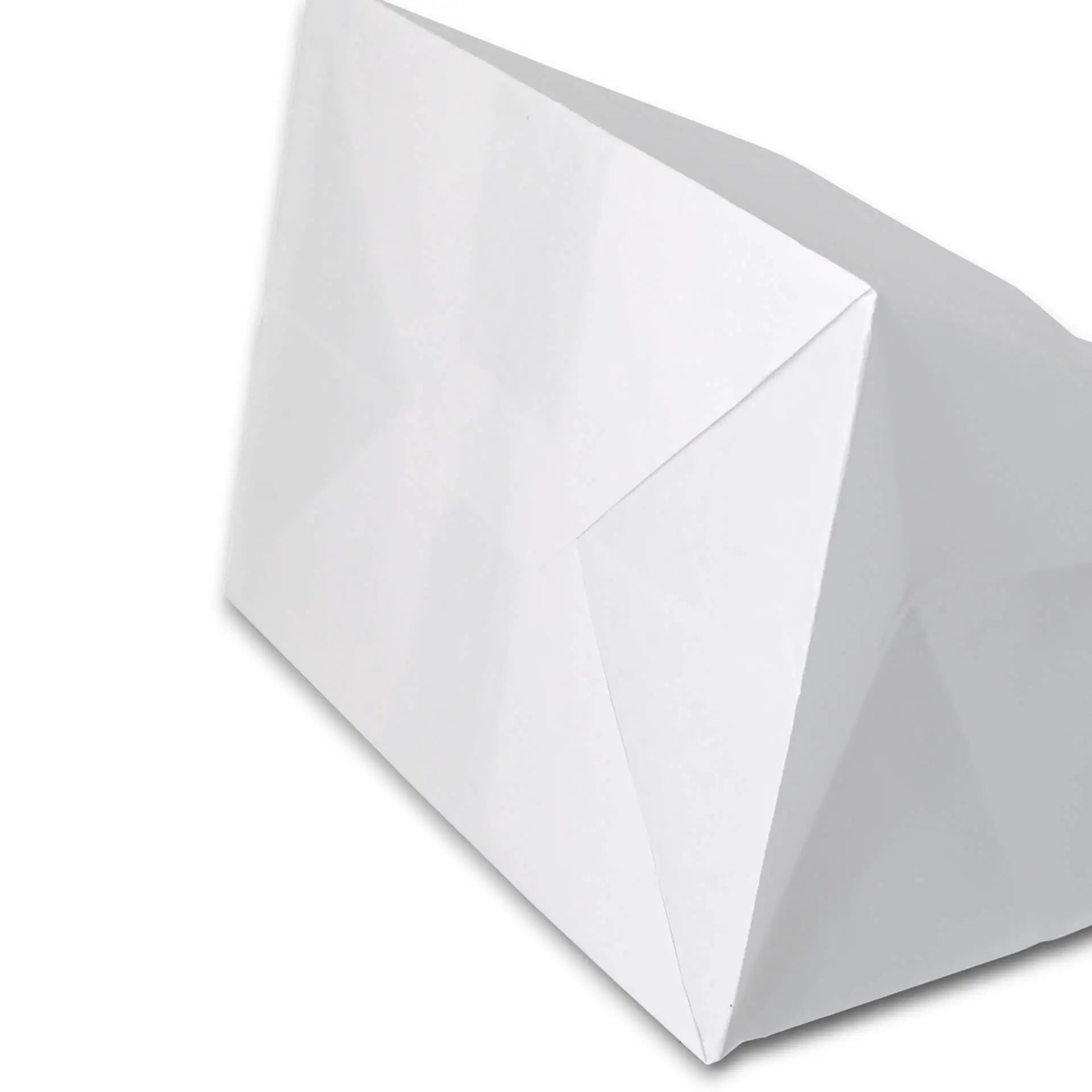 Buste porta carta Kraft L, 26 x 17 x 25 cm, bianco asporto domicilio Ristorazione Forniture Monouso Eco Bio Biodegradabile Packaging Consumabili Ecologico Ingrosso fornitore forniture Take away 5

