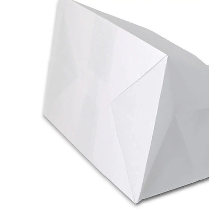 Buste porta carta Kraft L, 26 x 17 x 25 cm, bianco asporto domicilio Ristorazione Forniture Monouso Eco Bio Biodegradabile Packaging Consumabili Ecologico Ingrosso fornitore forniture Take away 5
