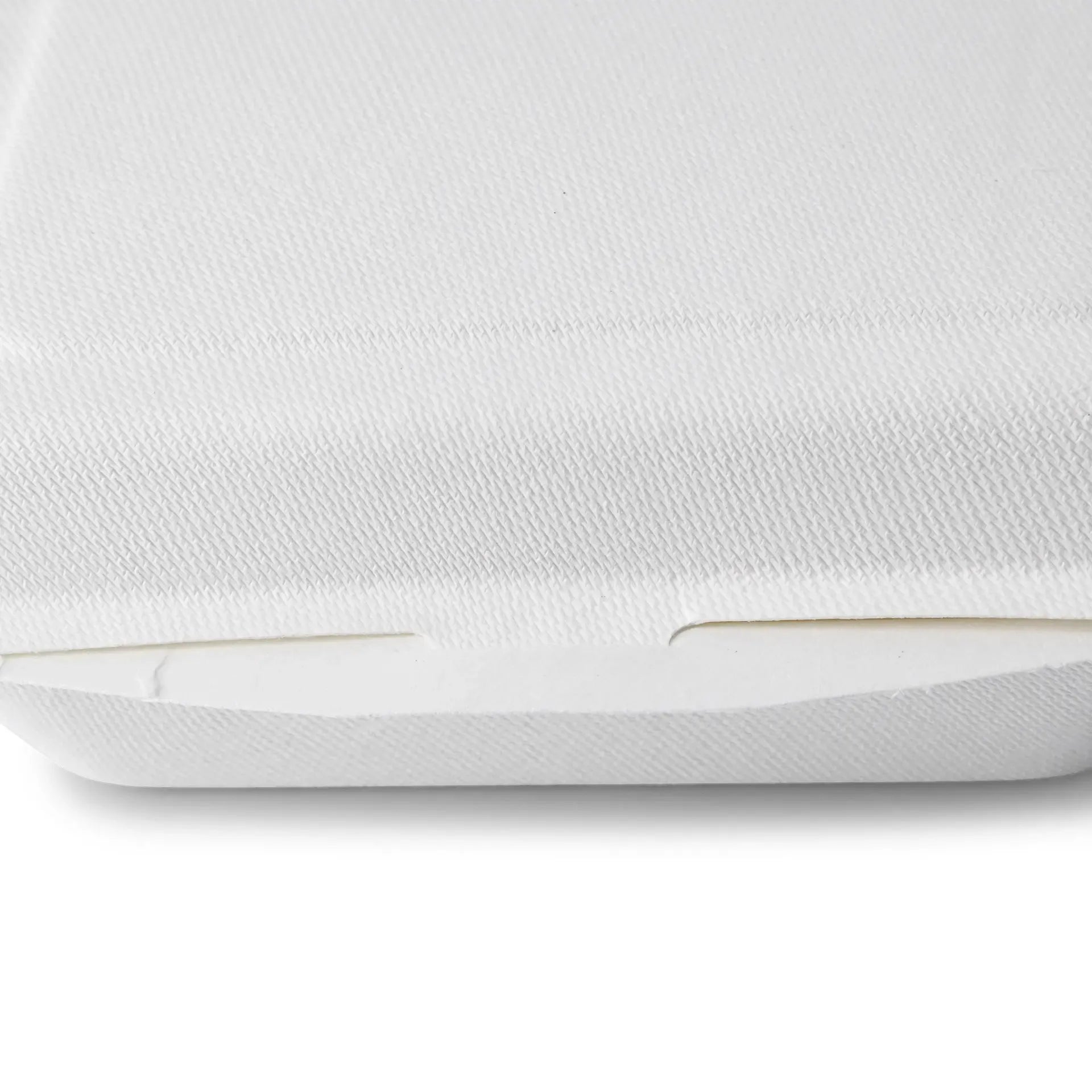 Contenitori per canna da zucchero 18,5 x 13 x 6,5 cm, coperchio incernierato, rettangolare asporto domicilio Ristorazione Forniture Monouso Eco Bio Biodegradabile Packaging Consumabili Ecologico Ingrosso fornitore forniture Take away 6
