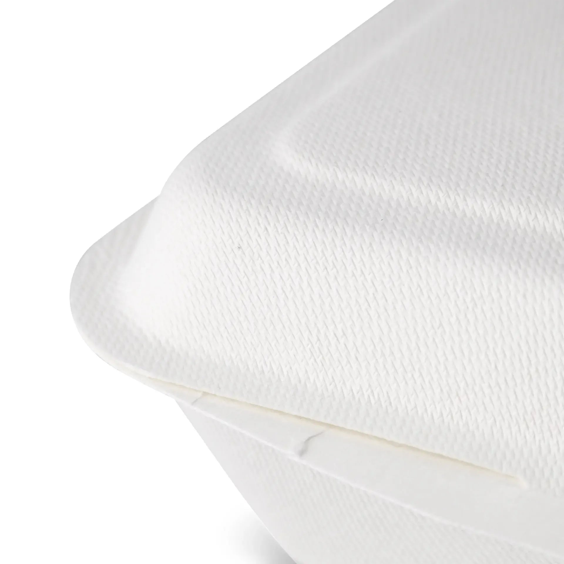 Contenitori per canna da zucchero 18,5 x 13 x 6,5 cm, coperchio incernierato, rettangolare asporto domicilio Ristorazione Forniture Monouso Eco Bio Biodegradabile Packaging Consumabili Ecologico Ingrosso fornitore forniture Take away 7
