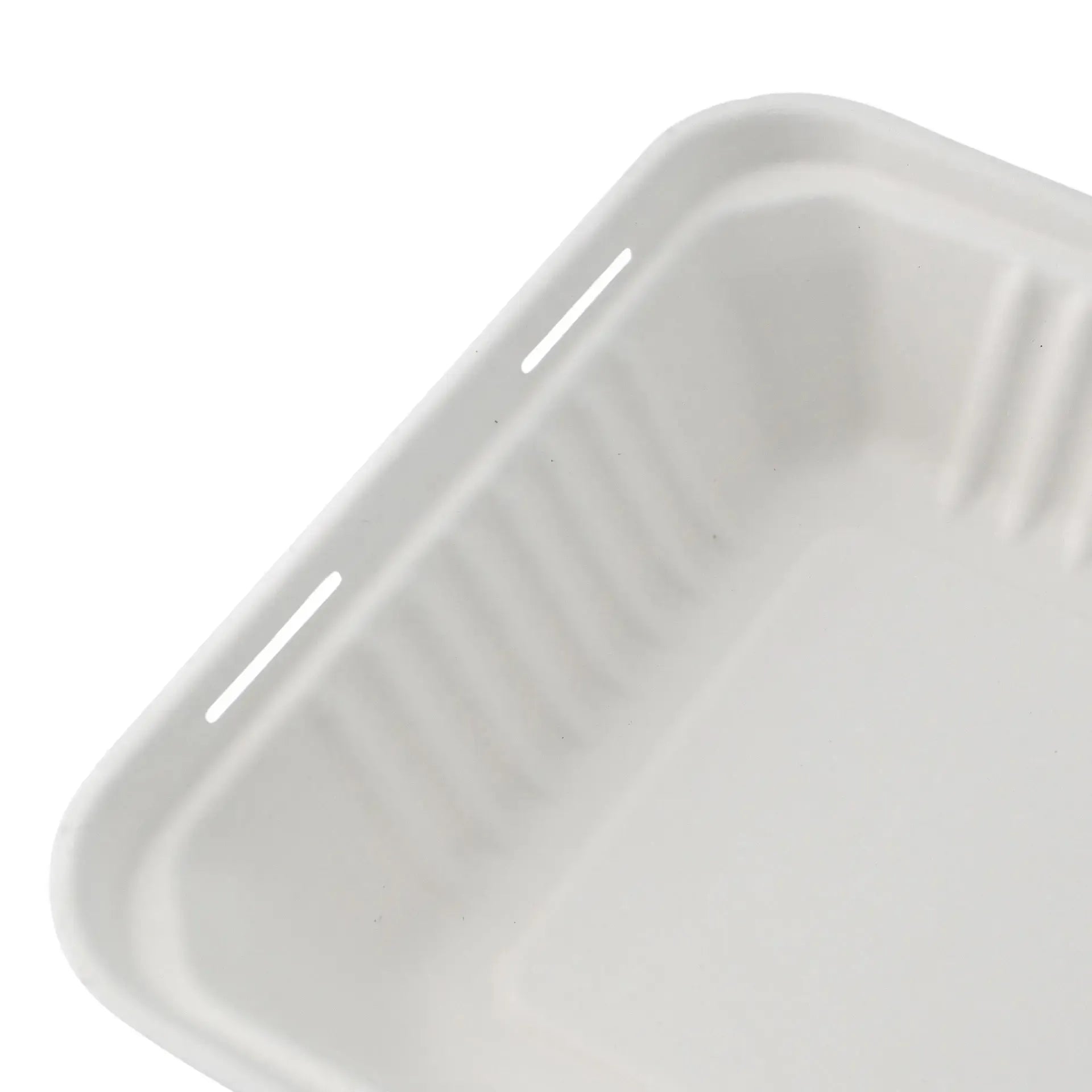 Contenitori per canna da zucchero 22 x 18,5 x 7 cm, coperchio incernierato, rettangolare asporto domicilio Ristorazione Forniture Monouso Eco Bio Biodegradabile Packaging Consumabili Ecologico Ingrosso fornitore forniture Take away 4
