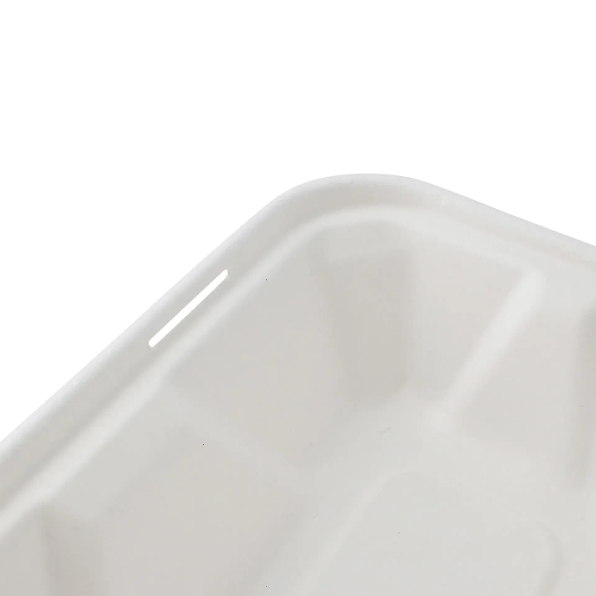 Contenitori per canna da zucchero 23 x 15,5 x 7,5 cm, coperchio incernierato, rettangolare asporto domicilio Ristorazione Forniture Monouso Eco Bio Biodegradabile Packaging Consumabili Ecologico Ingrosso fornitore forniture Take away 5
