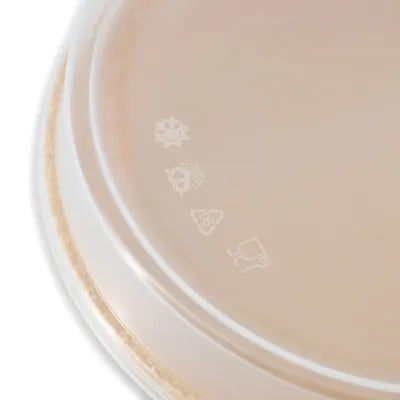 Coperchi riutilizzabili "BioYep" 27.5 x 20 x 3 cm, PP, trasparente monouso biodegradabile asporto domicilio ristorazione take away finger food