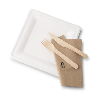 Piatti in canna da zucchero, 20x20 cm, quadrati, bianchi asporto domicilio take away monouso