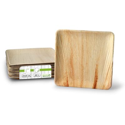 Piatto di foglia di palma "BioYep" 25 x 25 cm, quadrato  ingrosso ristoranti paninerie pub pizzerie