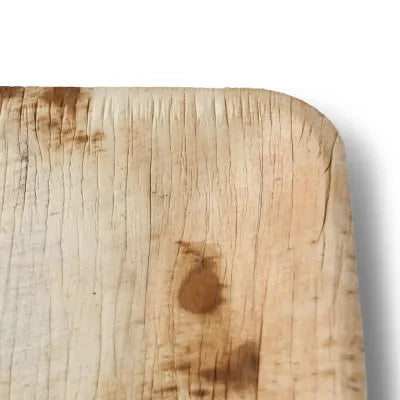 Piatto in foglie di palma asporto domicilio Ristorazione Forniture Monouso Bio Biodegradabile Packaging Consumabili Ecologico