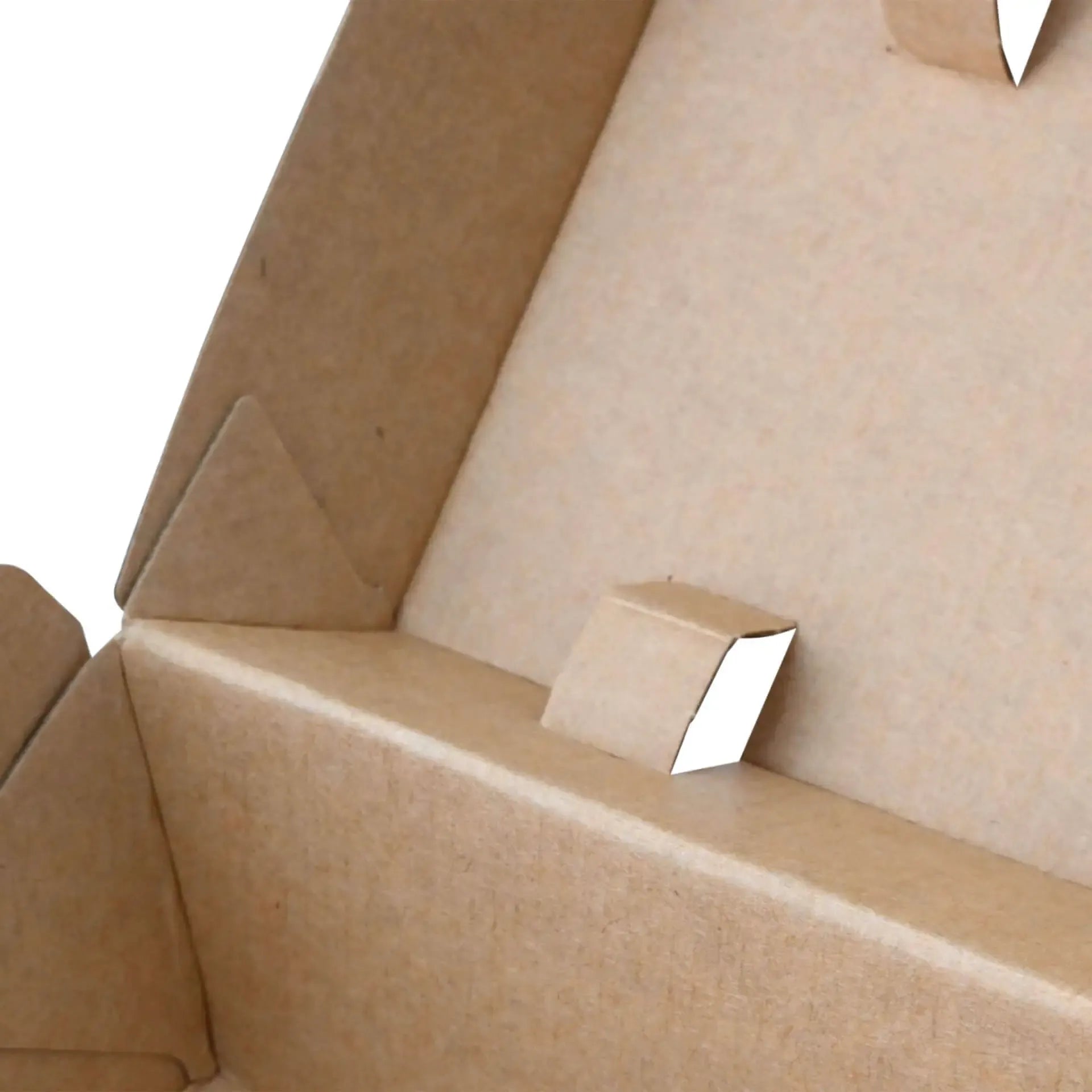 Scatole coperchio incernierato 24,8x13x7,5 cm cartone kraft asporto domicilio Ristorazione Forniture Monouso Eco Bio Biodegradabile Packaging Consumabili Ecologico Ingrosso fornitore forniture Take away 7
