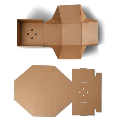 Scatole hamburger asporto asporto domicilio Ristorazione Forniture Monouso Bio Biodegradabile