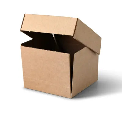 Scatole hamburger asporto asporto domicilio Ristorazione Forniture Monouso Bio Biodegradabile Packaging Consumabili Ecologico Ingrosso