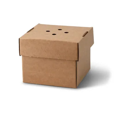 Scatole hamburger asporto asporto domicilio Ristorazione Forniture Monouso Bio Biodegradabile Packaging Consumabili Ecologico Ingrosso Take away
