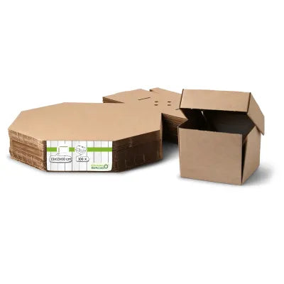 Scatole hamburger asporto asporto domicilio Ristorazione Forniture Monouso Bio Biodegradabile Packaging Consumabili Ecologico Ingrosso Take away Fornitore