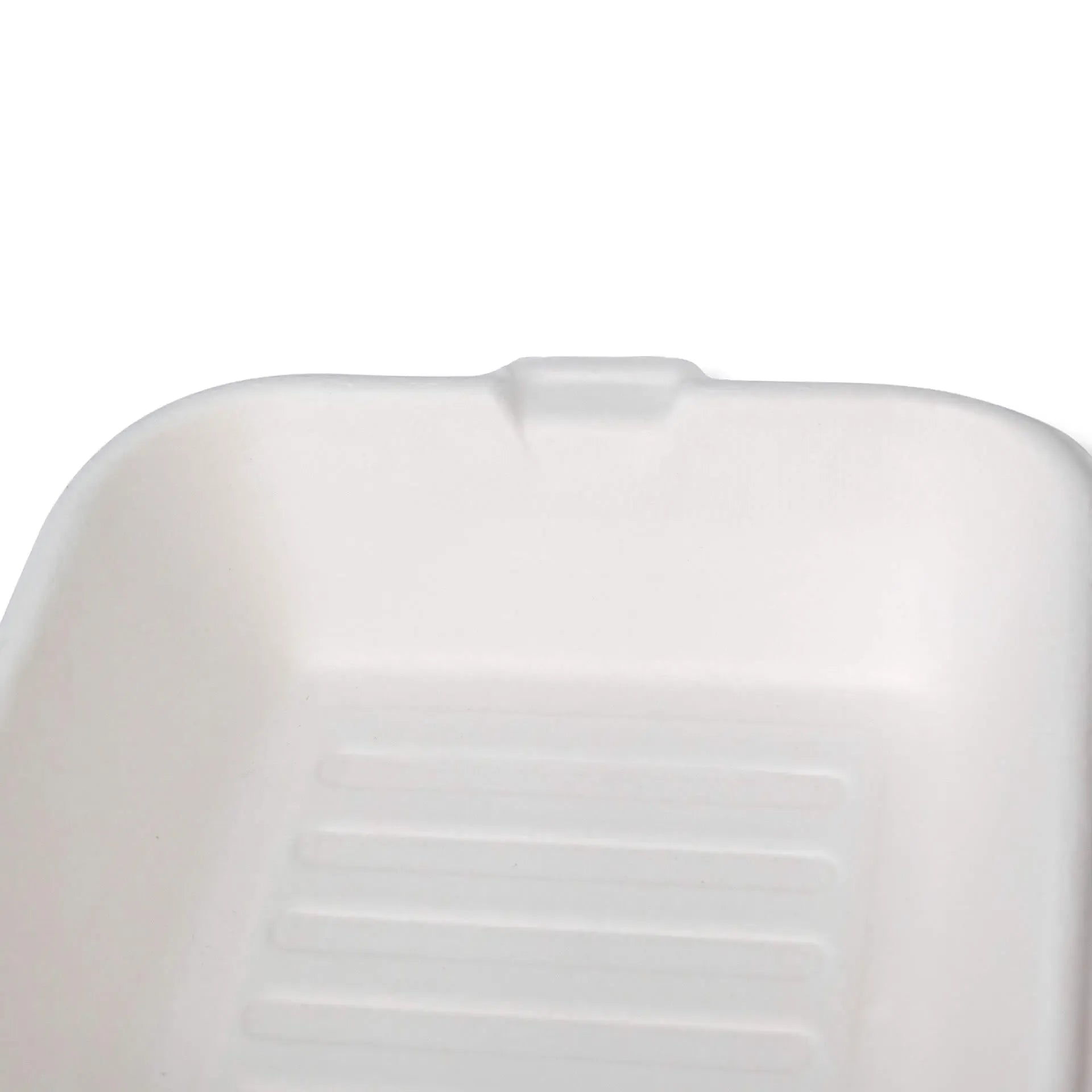 Scatole hamburger canna di zucchero 15x15x8 cm quadrate asporto domicilio Ristorazione Forniture Monouso Eco Bio Biodegradabile Packaging Consumabili Ecologico Ingrosso fornitore forniture Take away 5
